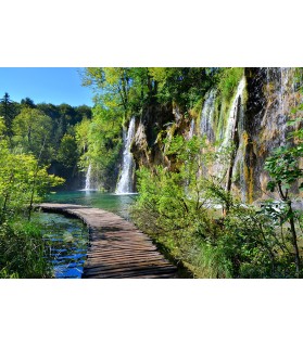 Fotografie tapet Drum langa cascada XL