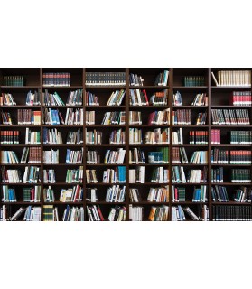 Fotografie tapet Librarie 3 3D L