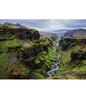 Fotografie tapet Natura 3