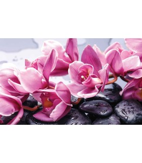 Fotografie tapet Orhidee Relaxare 3D