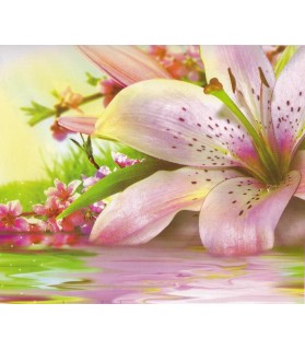 Fotografie tapet Lillie