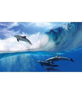 Fotografie tapet Delfini in mare