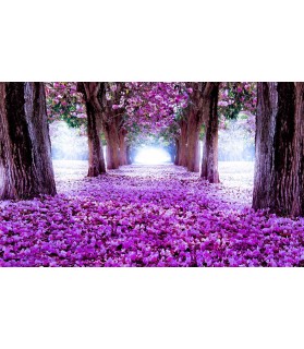 Fotografie tapet Drum flori violet 3D L 1