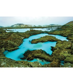 Fotografie tapet Natura 1