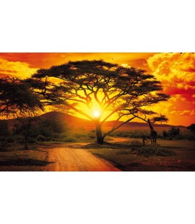 Fotografie tapet Apus in Africa