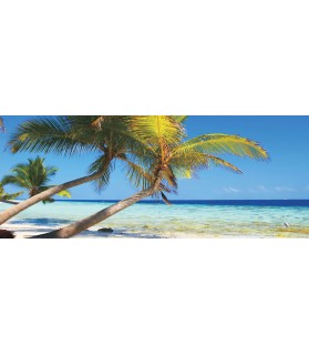 Fotografie tapet Plaja tropicala 3 S Vlies