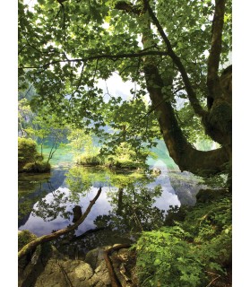 Fotografie tapet Lacul din padure
